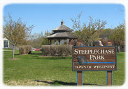 photo of Steeplechase Park